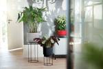 b.for studio rond 30cm living concrete